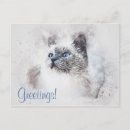 Zoek naar mooie katten briefkaarten Kattenliefhebber