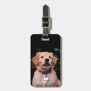 Recherche de golden retriever bagages étiquettes Dog