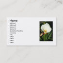 Recherche de calla cartes visite Cala