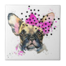 Recherche de bouledogue français carreaux Mignon