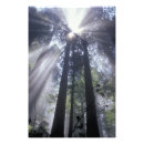 Recherche de faisceau lumineux posters Rayon