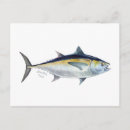 Recherche de thons cartes postales Pêche