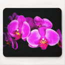 Recherche de orchidées roses tapis souris Plante