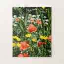 Recherche de jeux de denteux puzzles Jardin