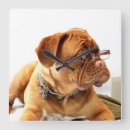 Recherche de dogue de bordeaux art Mastiff