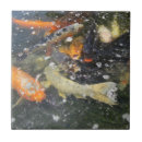 Recherche de koi carpe carreaux Poisson rouge