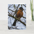 Recherche de merle vœux cartes Observation des oiseaux