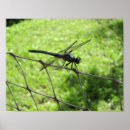 Recherche de moustique posters Bleu