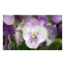 Recherche de violon art Floral