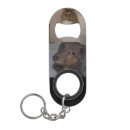 Recherche de chat bar Chien