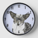 Recherche de corgi horloges Dog