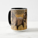 Recherche de quart tasses Ferme
