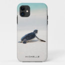Recherche de créatures de mer Tortue