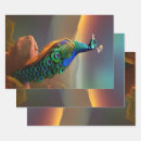 Zoek naar koninklijk cadeaupapier Pauw