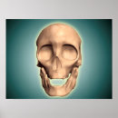 Recherche de anatomie humaine posters Médecine