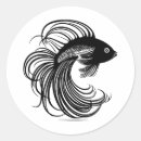 Recherche de splendens de betta Eau douce