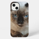 Recherche de ragdoll iphone coques Animal de compagnie