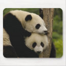 Recherche de géant tapis souris Porter