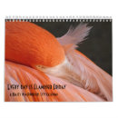 Zoek naar flamingo kalenders Wild