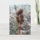 Recherche de buisson vœux cartes Plante