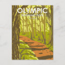 Recherche de forêts tropicales cartes postales Pour tous