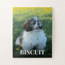 Recherche de chien de jouet puzzles Animal