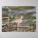 Recherche de tueurs art Nature