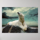 Recherche de agressif art Animal