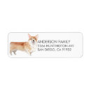 Recherche de corgi étiquettes adresse retour Animal
