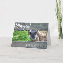 Zoek naar juffrouwen kaarten Grappig