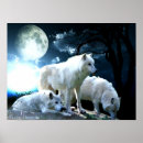 Recherche de loup blanc posters Pleine lune