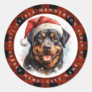 Recherche de chiot rottweiler autocollants Mignon