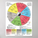 Zoek naar chinese geneeskunde posters Acupunctuur