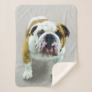 Zoek naar bulldog dekens Schattig