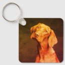 Recherche de vizsla accessoires Pointeur hongrois