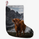 Recherche de bétail chaussette de noël Écossaise