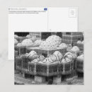 Zoek naar kosovo briefkaarten Pristina