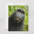 Recherche de humour singe vœux cartes Sourire