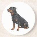 Recherche de rottweiler dessous de verres Animal de compagnie
