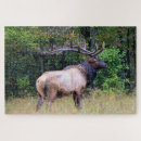 Recherche de saison de chasse Faune