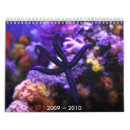 Zoek naar octopus kalenders Zee