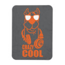 Recherche de scooby doo magnets Classic cartoon
