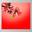 Zoek naar chinese tuin posters Japans