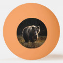 Recherche de ours balles ping pong Faune