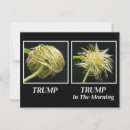 Recherche de hair cartes postales Tromper