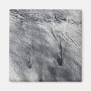 Recherche de cumulus magnets Motif