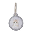Recherche de jaune de chats médaillons Tabby