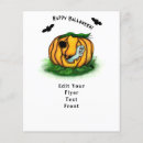Recherche de toile prospectus Halloween