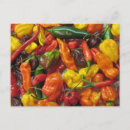 Recherche de piments cartes postales Chaud