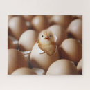 Recherche de poussins puzzles Ferme